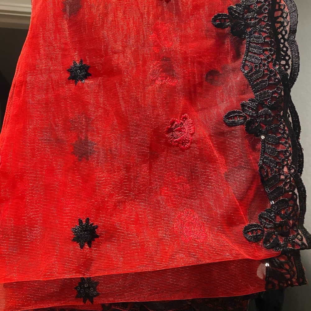 Pakistani dresses - Picture 8 of 10
